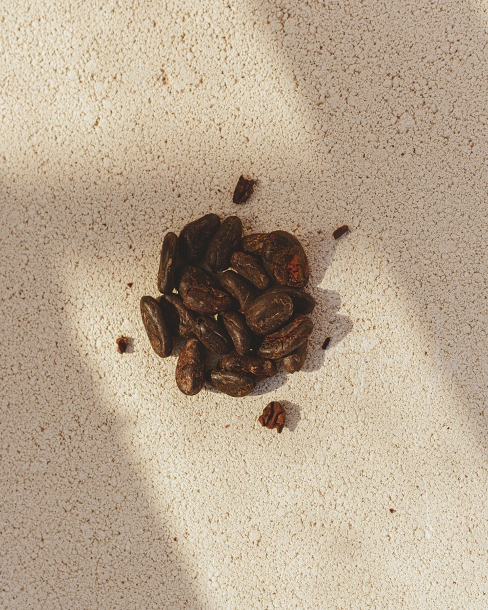 Organic, Hand Peeled Cacao Beans